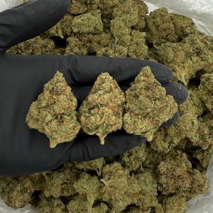 Venom OG