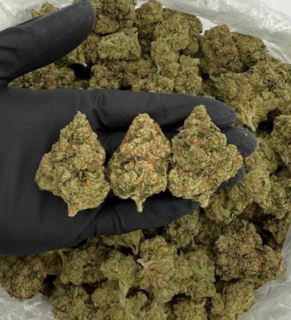 Venom OG