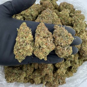 🌿 OG KUSH – Silver Tier 🌿 🔥 Classic Gas | Silver Value | Pure Nostalgia 🔥