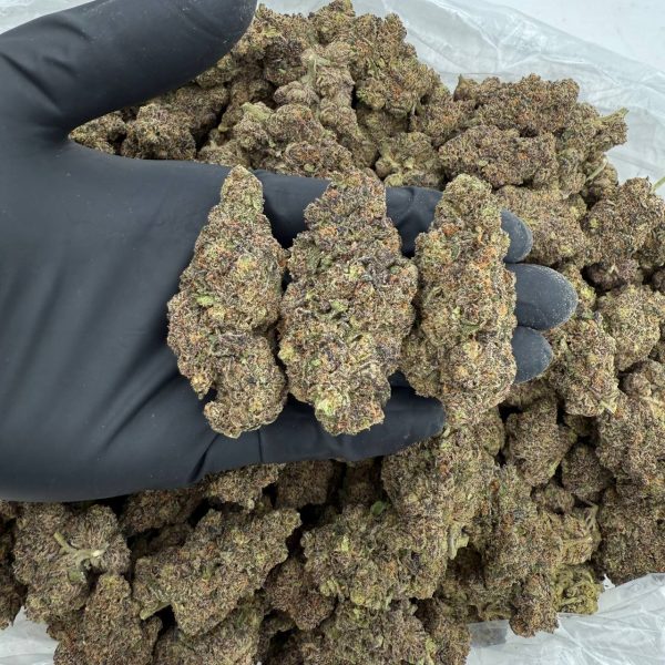 Purple Gelato