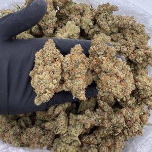 King Mamba OG