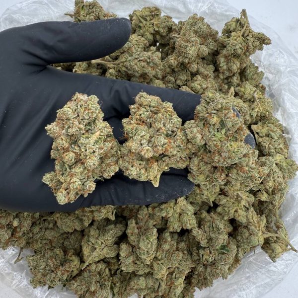 🔥 Rapper Weed: KushCo OG 🔥