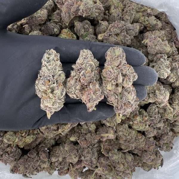 🔥 Rapper Weed: Old Money that talks without saying a word.🔥