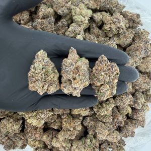 🌌💨 ZaZa Tier: Blue Rhino 🦏🫐