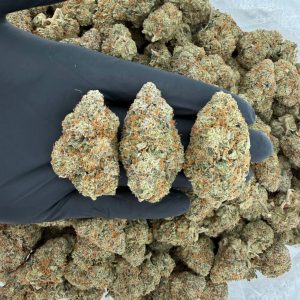 π»β¨ Exotic Tier: Ghost OG π₯ππΏ