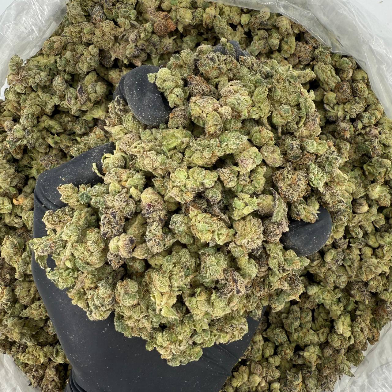 🍃 Exotic Smalls: Green Crack