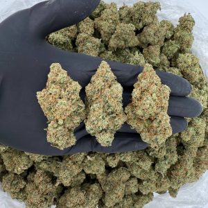 💎 Platinum Tier: Jack Herer