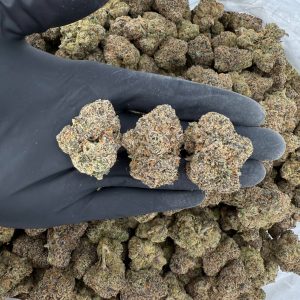 π Exotic Tier: Sherbet Cake