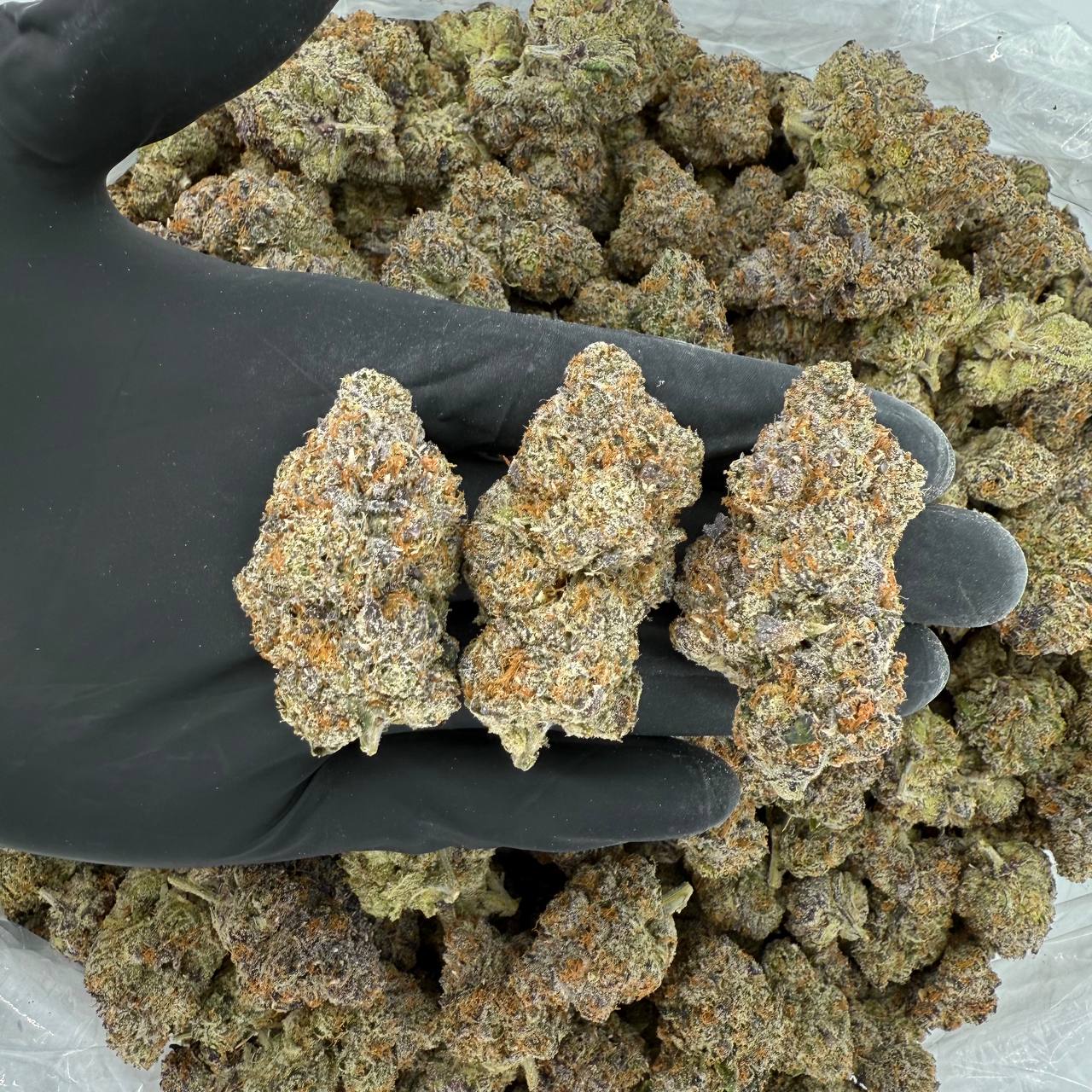 🛸 Exotic Tier: Super Sauce