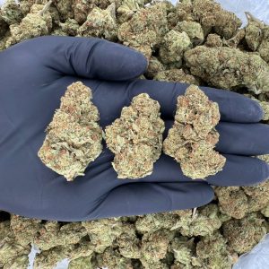 β‘ Silver Tier: Tahoe OG