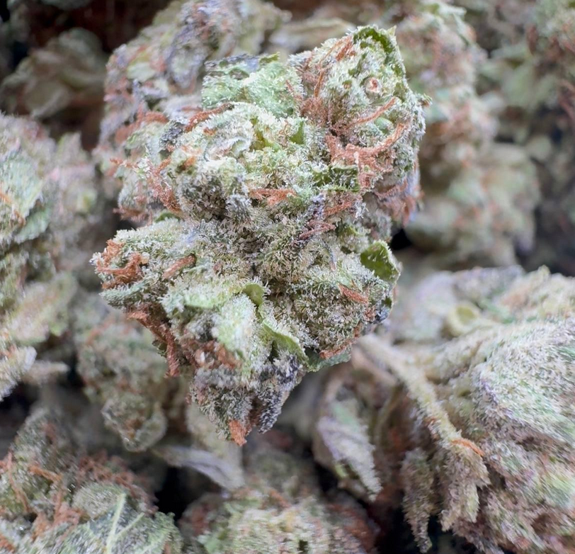 🔥 Super Toad 🐸 (Indica-Dominant Hybrid – 70% Indica / 30% Sativa) mid tier indoor