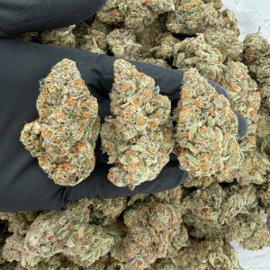 🌈 ZaZa Tier: Blue Zangria Nose: 🔥 10/10 – Sweet & Fruity Aroma 😋