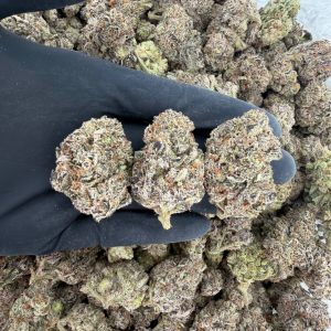 💎✨ Exotic Tier: Blue Zushi ✨💎