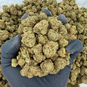 👑 Exotic Smalls: Emperor OG Nose: 8/10 🔥 Piney Sweet 🤤 Nugg Size: Smalls