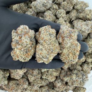 ❄️ Exotic Tier: Frost Bite Nose: 10/10 🔥 Fruity Dank 😶🌫️ Nugg Size: Regular