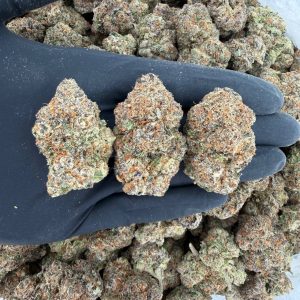 💎 Platinum Tier: Gelonade