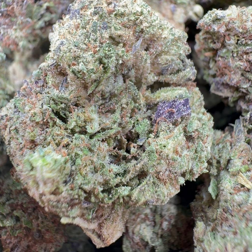 π¬πΏ Gumbo π€β¨ (Indica β Mid Tier)