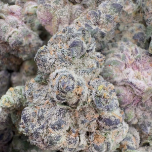 ππ Mamba 24 ππ¨ elite qualityππ¨A top-shelf showcase strain