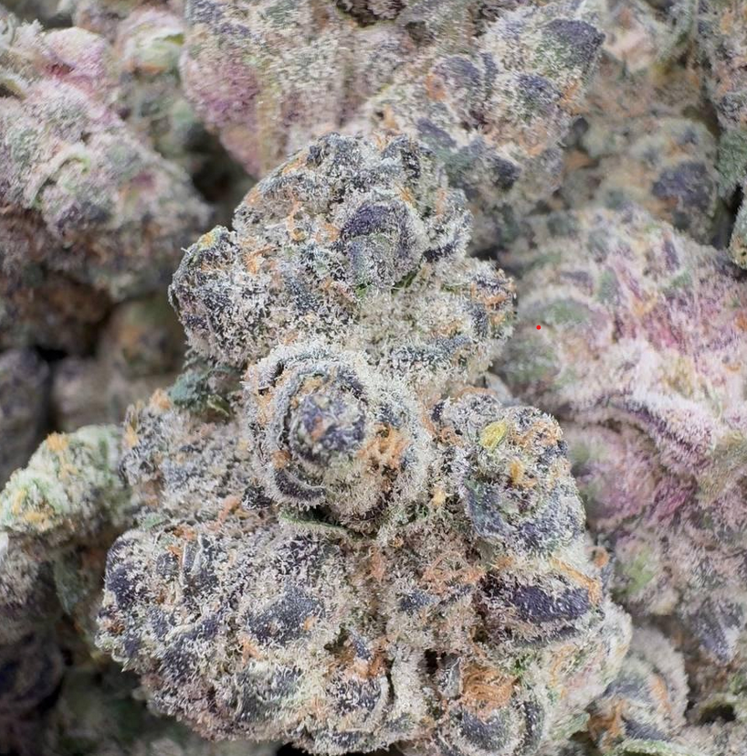 ππ Mamba 24 ππ¨ elite qualityππ¨A top-shelf showcase strain