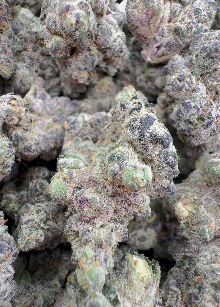 ππ Mamba 24 ππ¨ elite qualityππ¨A top-shelf showcase strain - Image 2