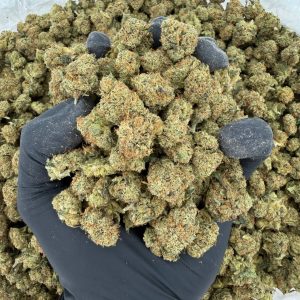 πΏ Exotic Smalls: OG Story Nose: π₯ 8/10 β Skunky Herb Aroma πΆβπ«οΈ