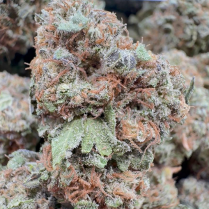 ππ¨ Pineapple Diesel β‘πΏ (Sativa-Dominant Hybrid β 60% Sativa / 40% Indica)