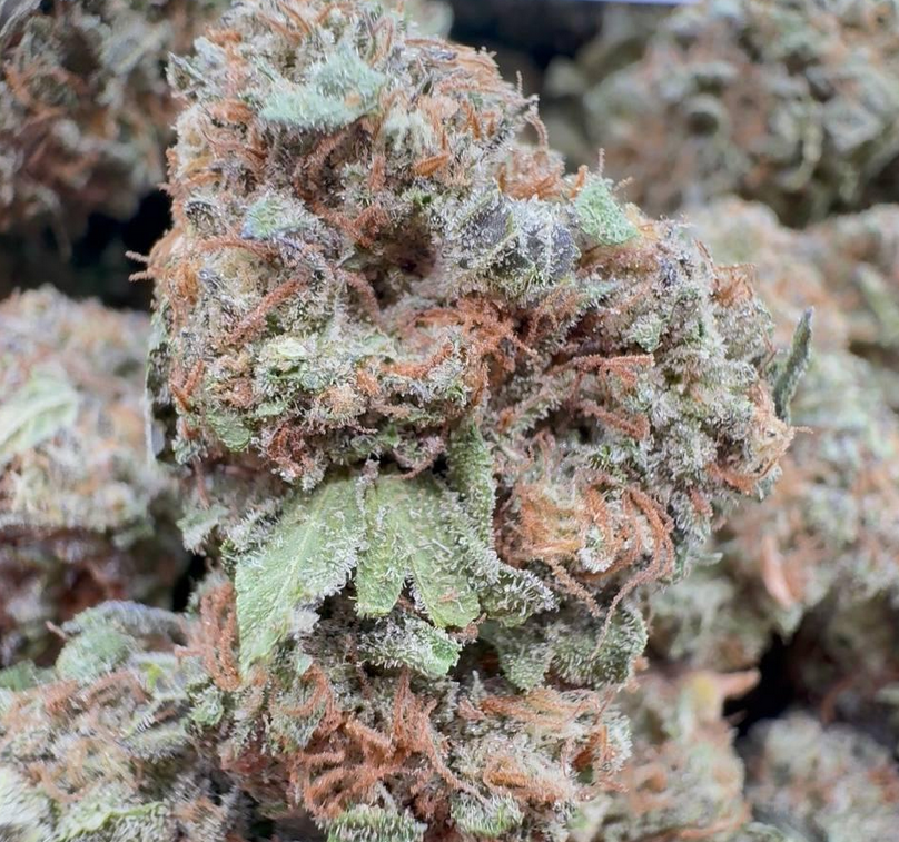 ππ¨ Pineapple Diesel β‘πΏ (Sativa-Dominant Hybrid β 60% Sativa / 40% Indica)