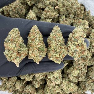 π Gold Tier: SFV OG π Nose: 8/10 π₯ Sweet Diesel πΆβπ«οΈ