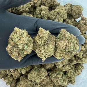 🌞 Solar Skunk Tier: Super LCG Nose: 🔥 7/10 – Fruity Citrus Aroma 😇