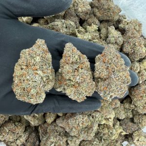 π Gold Tier: Vanilla Waferz π Nose: 8/10 π₯ Nutty Sweet πΉ