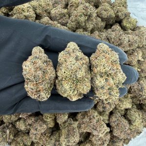 π Exotic Tier: Zootiez π Nose: 10/10 π₯ Zesty Berries πΆβπ«οΈ