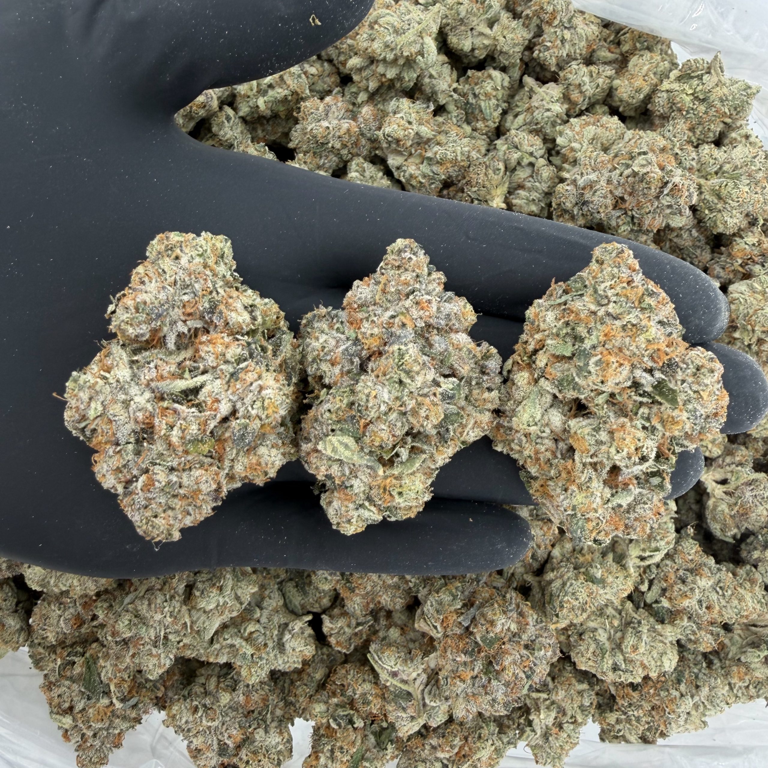 Rapper Weed: Formula 1 ππ₯ Our Highest Quality Flower Nose: 10/10 β Sweet Diesel π€€