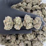 🌿 Rapper Weed: Sour Peaches  🔥 Aroma: 10/10 – Fruity Citrus 😇