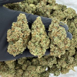 π Gold Tier: Alien OG Nose: 8/10 π₯ β Earthy Sweet π€€