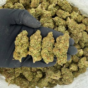 🌿 Solar Skunk Tier: Animal Mintz 🔥 Aroma: 7/10 – Earthy Spice 😋