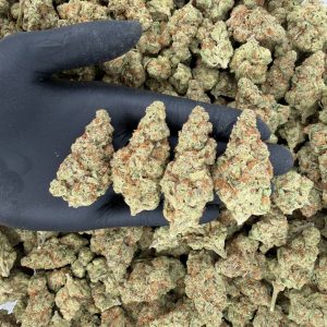 🌟 Gold Tier: Blueberry Skittlez Nose: 8/10 🔥 Sweet Citrus 😝