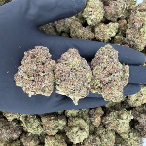 π Solar Skunk Tier: Bubba Kush π¨ Nose: 7/10 β Hashy & Sweet π