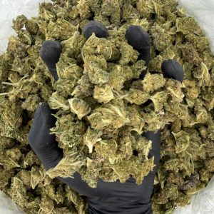 🌌 Solar Skunk Tier: Bubble Tricks  Nose: 6/10 🔥 Earthy Tones 😶‍🌫️