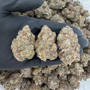💎 Platinum Tier: Candy Fumez Nose: 10/10 🔥 — Citrus Diesel 😶🌫️