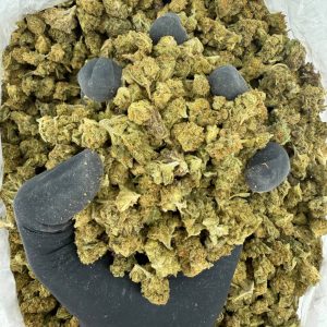 🔥 Solar Skunk Tier: Carbon Fiber Creamy • Sweet • Herbaceous • Balanced Hybrid