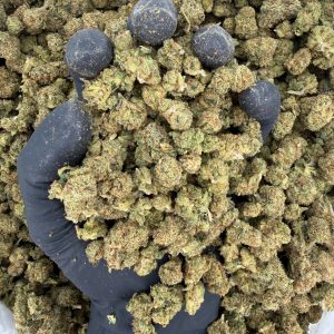 πΏ Exotic Smalls: Fire OG π₯ Nose: 8/10 β Pungent & Earthy π