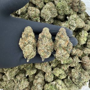 Gold Tier: Galactic Warhead Nose: 8/10 π₯ Zesty Fruit π