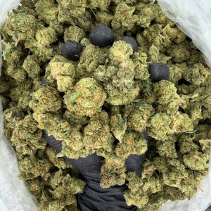 ☀️ Solar Skunk Tier: Guava Runtz  Nose: 6/10 🔥 Sweet Diesel 😙