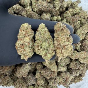 Solar Skunk Tier: Italian Ice  Nose: 7/10 🔥 Spicy Sweet 😋