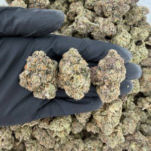 💎 Platinum Tier: Kut Throat Kandy Nose: 10/10 🔥 — Sugary Citrus 🤤