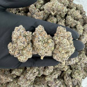 💎 ZaZa Tier: Legacy Runtz Nose: 10/10 🔥 — Tropical Citrus 🏖