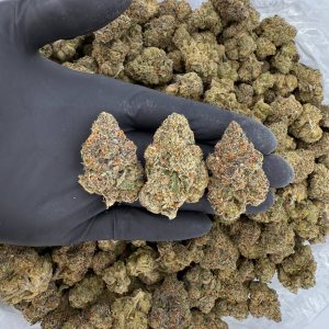 Exotic Tier: Lemon Cherry Gelato ππ Nose: 9/10 π₯ Citrus Berries π Nugg Size: Regular