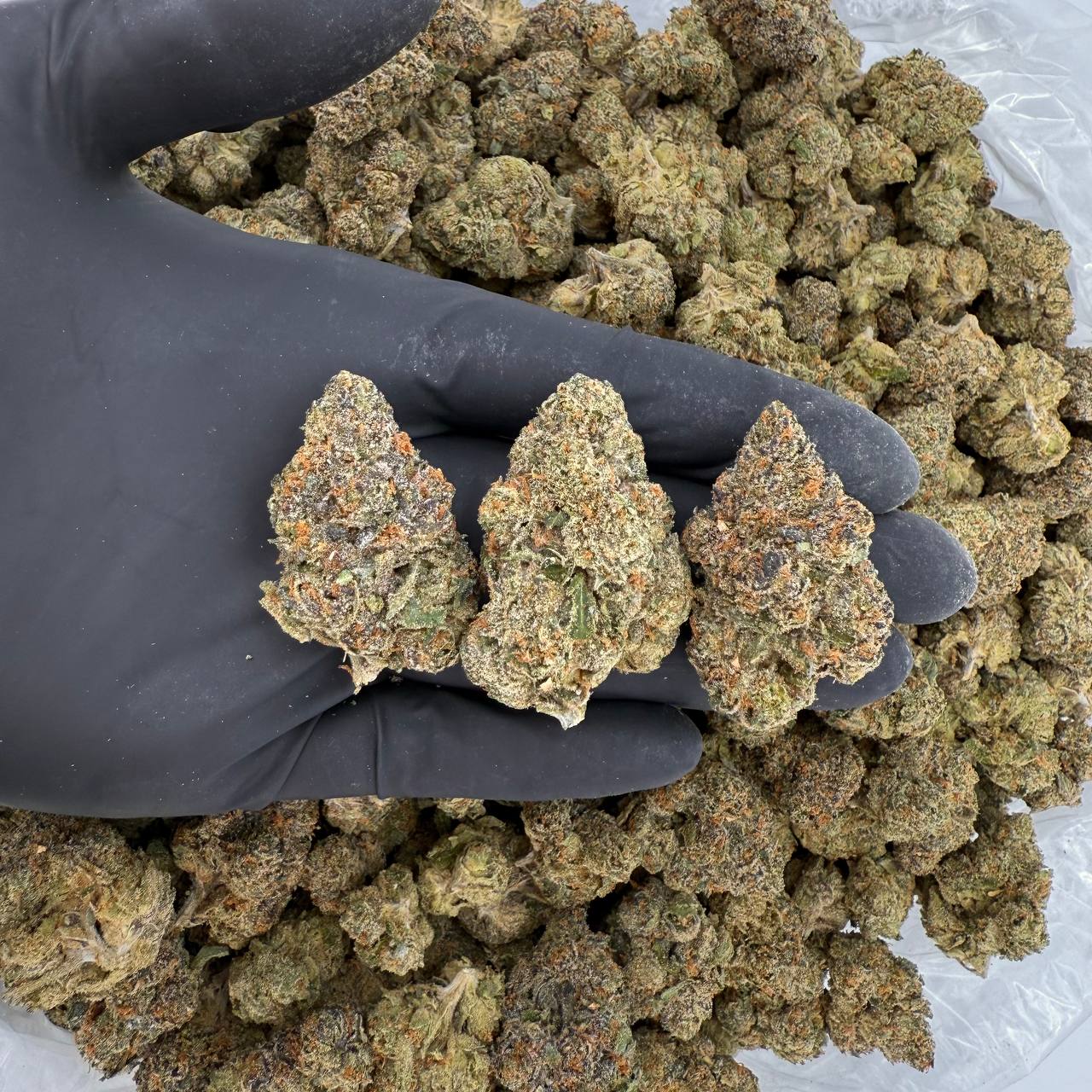 Exotic Tier: Lemon Cherry Gelato ππ Nose: 9/10 π₯ Citrus Berries π Nugg Size: Regular