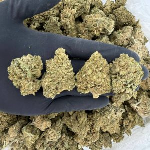 🌿 Solar Skunk Tier: Peanut Butter Souffle  🔥 Aroma: 6/10 – Nutty Sweet 🤩