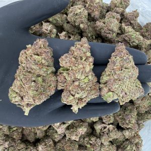 🌞 Solar Skunk Tier: Pop Cherry 🍒 Nose: 7/10 — Sour & Berry 🔥